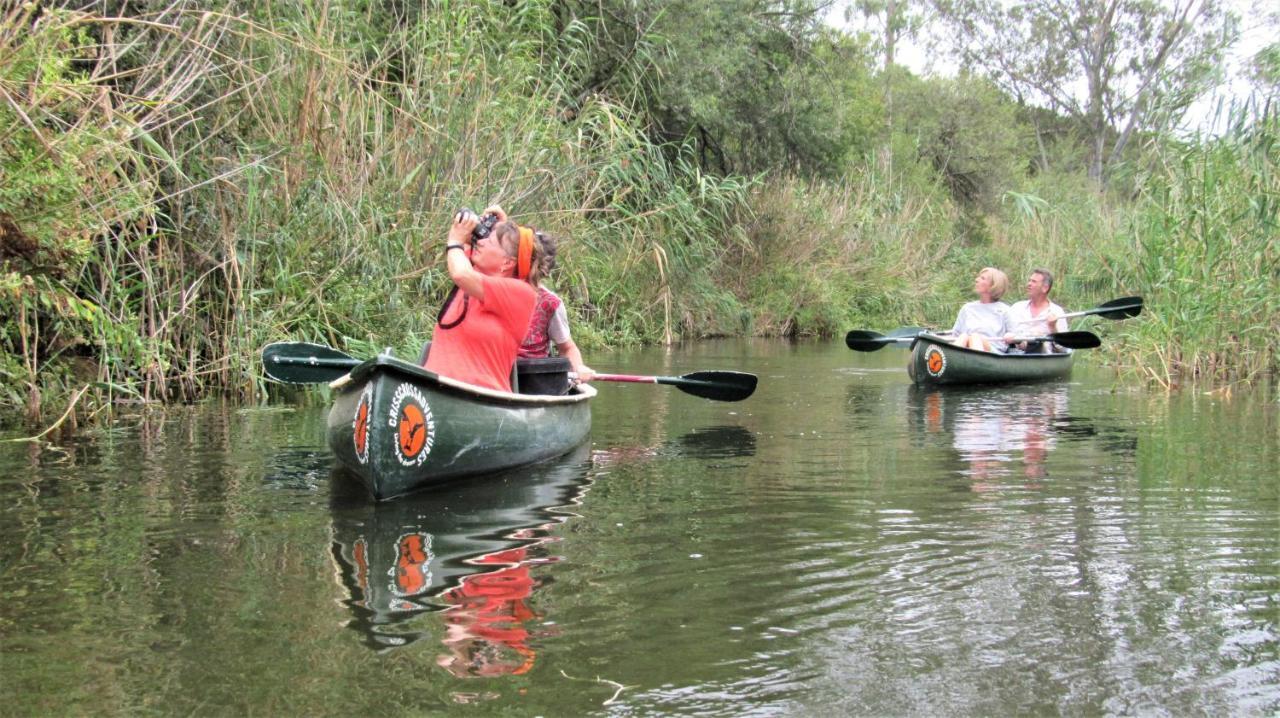Chrislin African Lodge Addo Zewnętrze zdjęcie